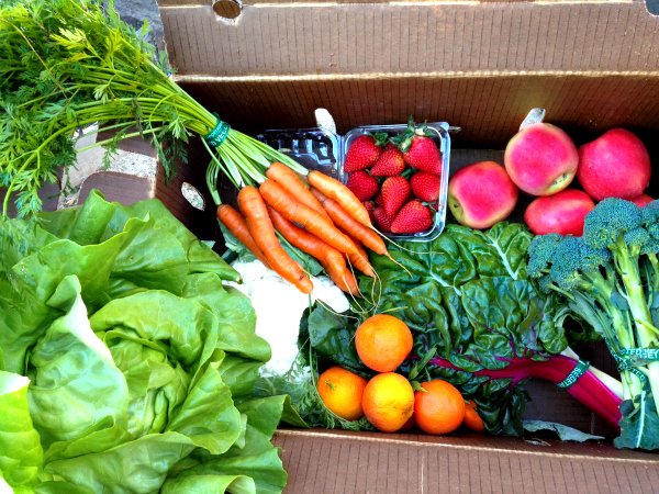 farm-to-fresh-box-of-veges